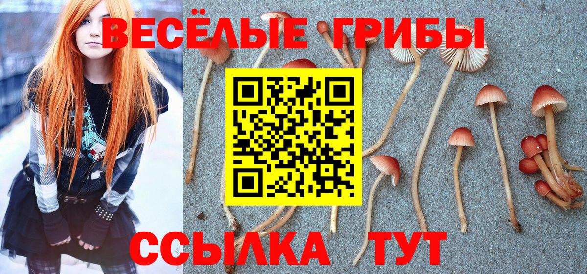 Галлюциногенные грибы мицелий  Галлюциногенные грибы MAGIC MUSHROOMS  Балашов  Вход с VPN 